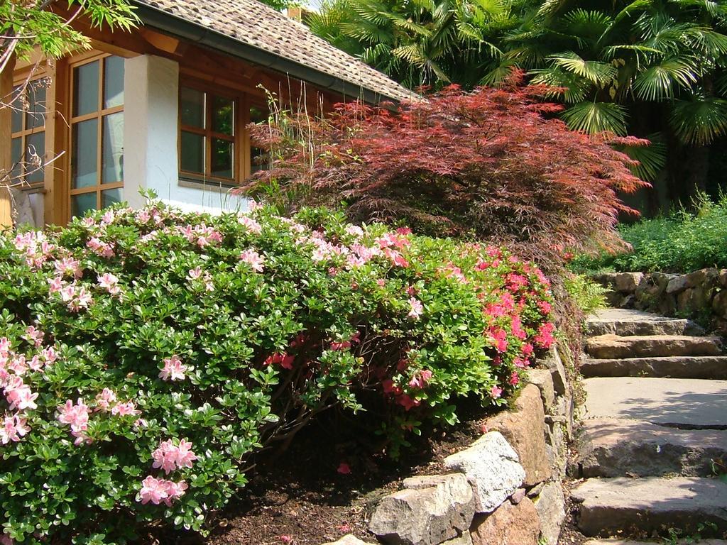 Villa Sissi Laives Exterior foto